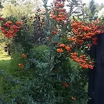 Agroturystyka Dyrdowka Byszyce