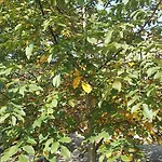 فندق Agroturystyka Dyrdowka