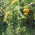 فندق Agroturystyka Dyrdowka