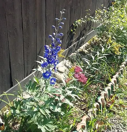 Hotel Agroturystyka Dyrdowka *