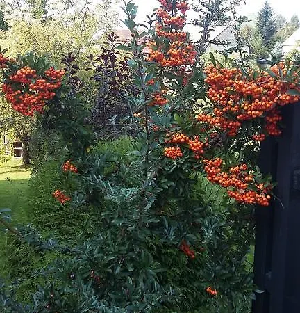 Agroturystyka Dyrdowka Byszyce