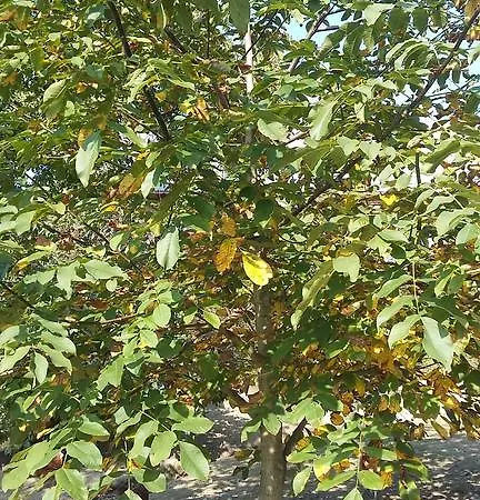 Hotel Agroturystyka Dyrdowka