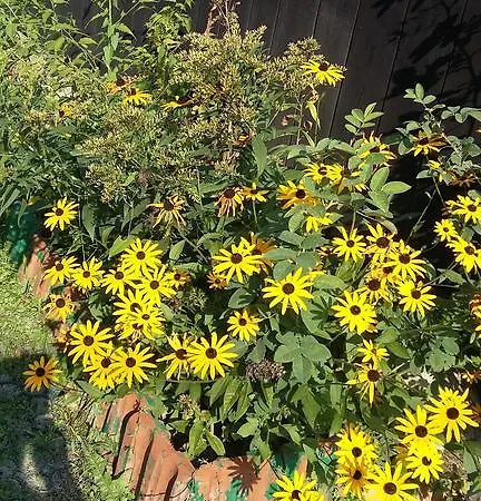 Szálloda Agroturystyka Dyrdowka Byszyce