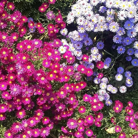 Hotel Agroturystyka Dyrdowka *