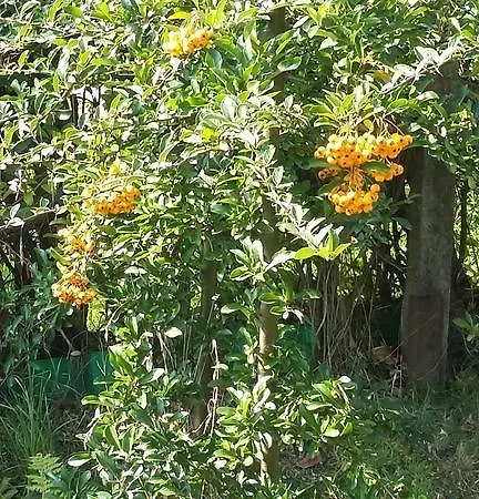 Szálloda Agroturystyka Dyrdowka