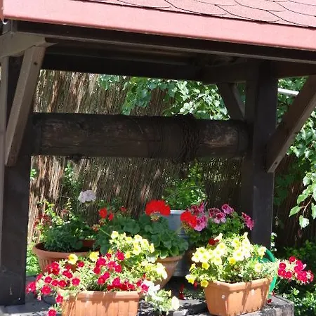 Agroturystyka Dyrdowka Hotel Byszyce