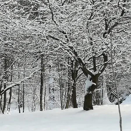 Agroturystyka Dyrdowka