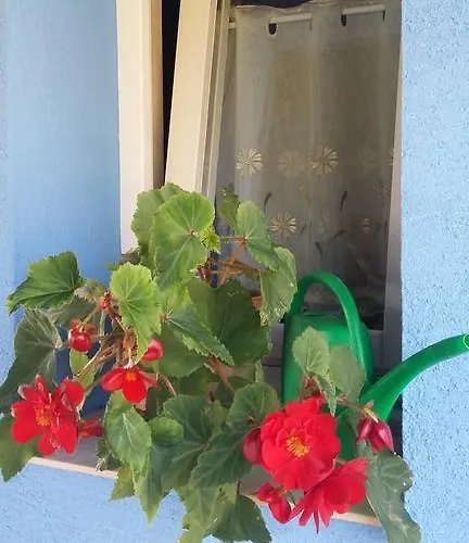 מלון Agroturystyka Dyrdowka