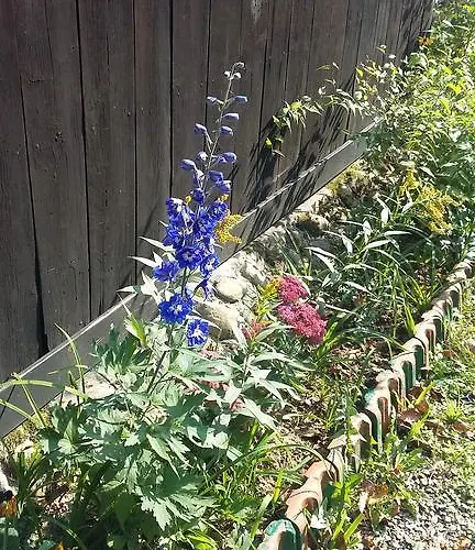 מלון Agroturystyka Dyrdowka *