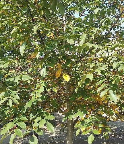 Hotel Agroturystyka Dyrdowka