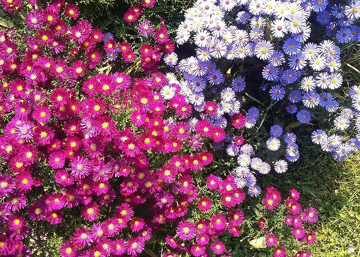 Hotel Agroturystyka Dyrdowka *