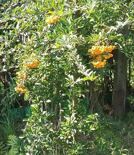 מלון Agroturystyka Dyrdowka