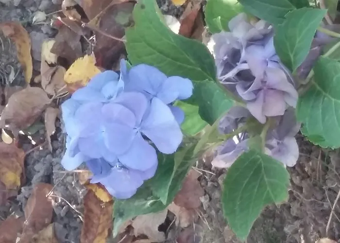 Hotel Agroturystyka Dyrdowka *