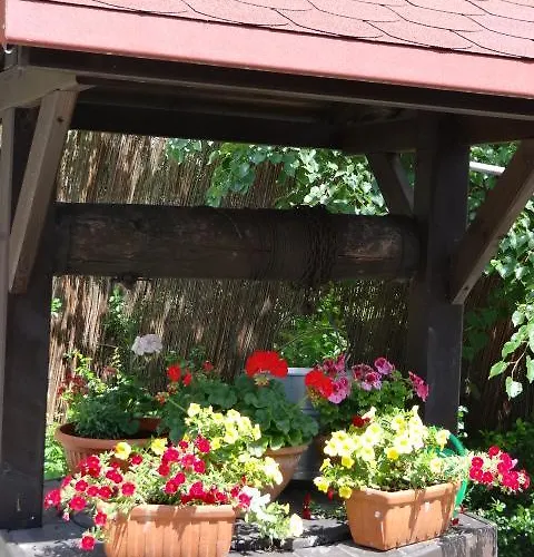 Agroturystyka Dyrdowka Hotel Byszyce