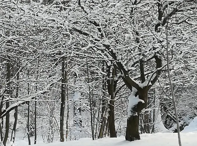 Agroturystyka Dyrdowka